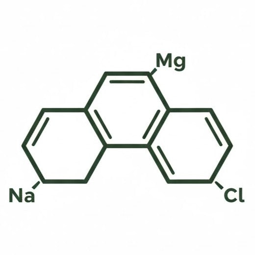 Icon of chemical structure diagram with atoms labeled Na, Mg, and Cl